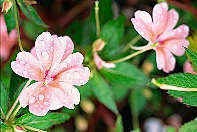 《传奇米老鼠：重制版》9月24日发售 登陆全平台